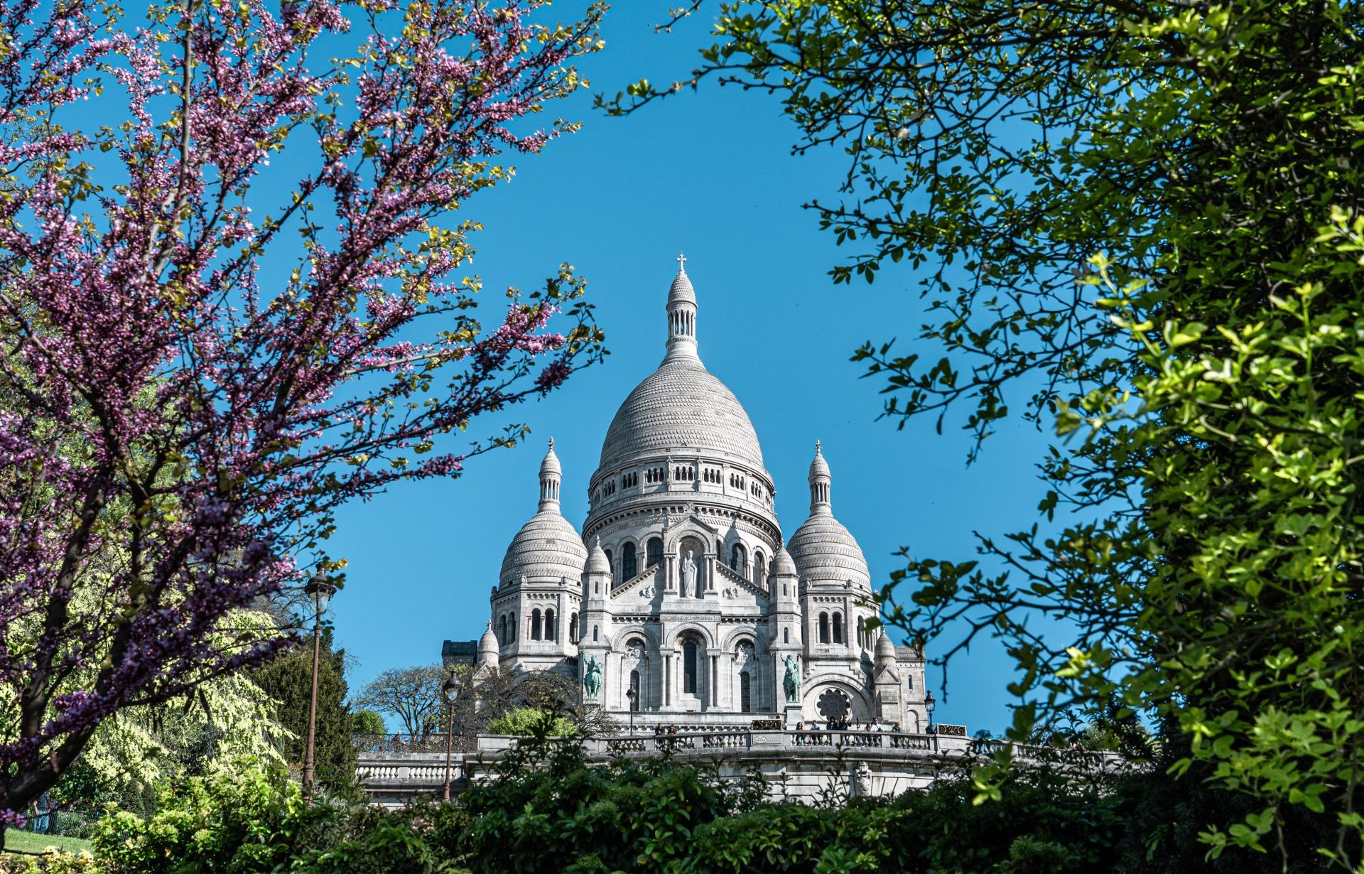 Montmartre Sacre-Coeur avec des fleurs