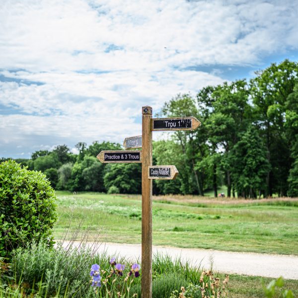 Wooden signpost with directions, surrounded by lush greenery in Burgundy, France under a bright summer sky. The beauty of traveling green.