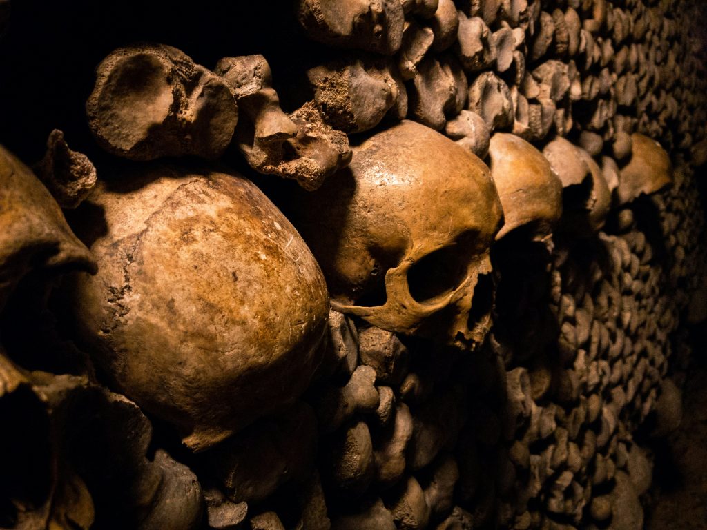 Catacombs paris My private paris tour