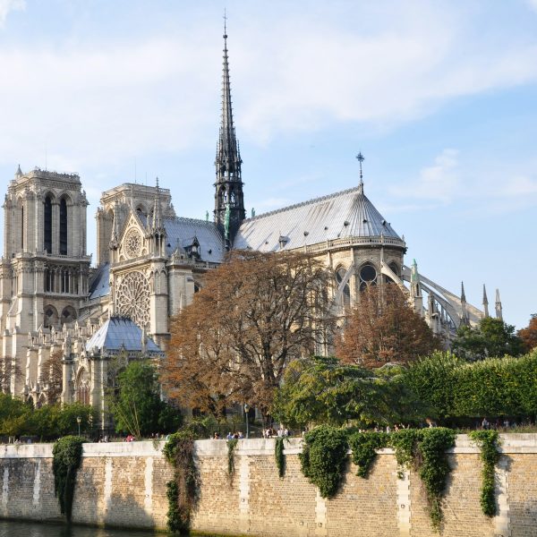 the Notre Dame Cathedral My privagte paris