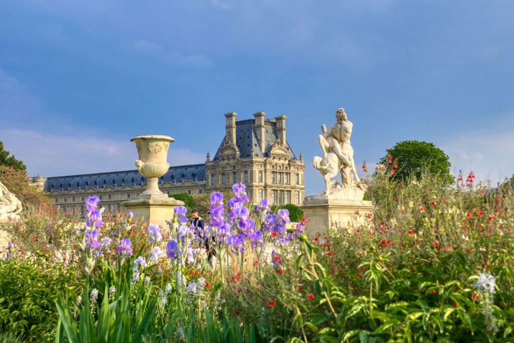 Paris In may Jardin des Tuileries with the Louvre in the back with spring flowers and a blue sky. 