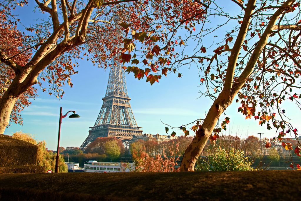 Paris in Fall, Auumn. Eiffel Tower with orange Leafs My private Paris